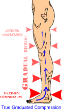 Veins and compression